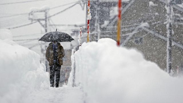 Japonya, kardan elektrik üretimi için araştırma yapıyor