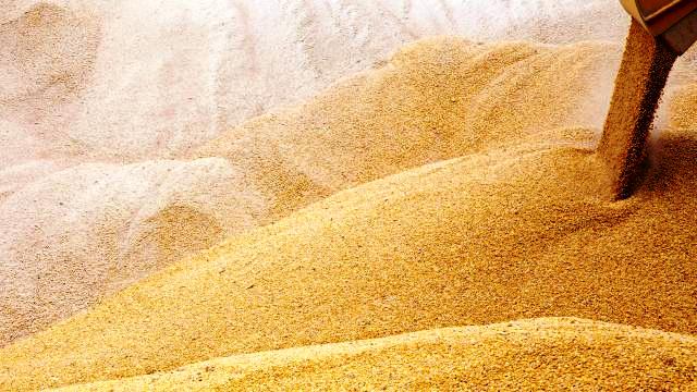 Polonya Ukrayna’dan tahıl ithalatını kısıtlayacak