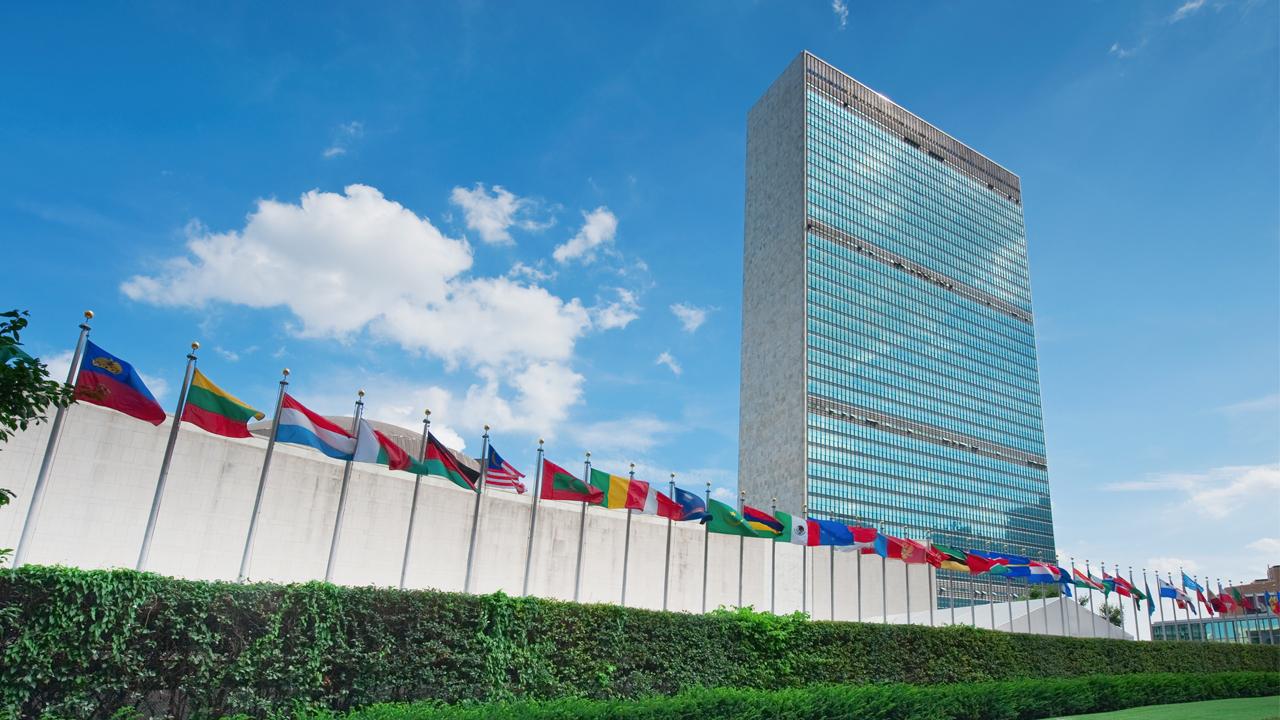 BM’ye adil temsil ve işlevsellik için reform çağrısı