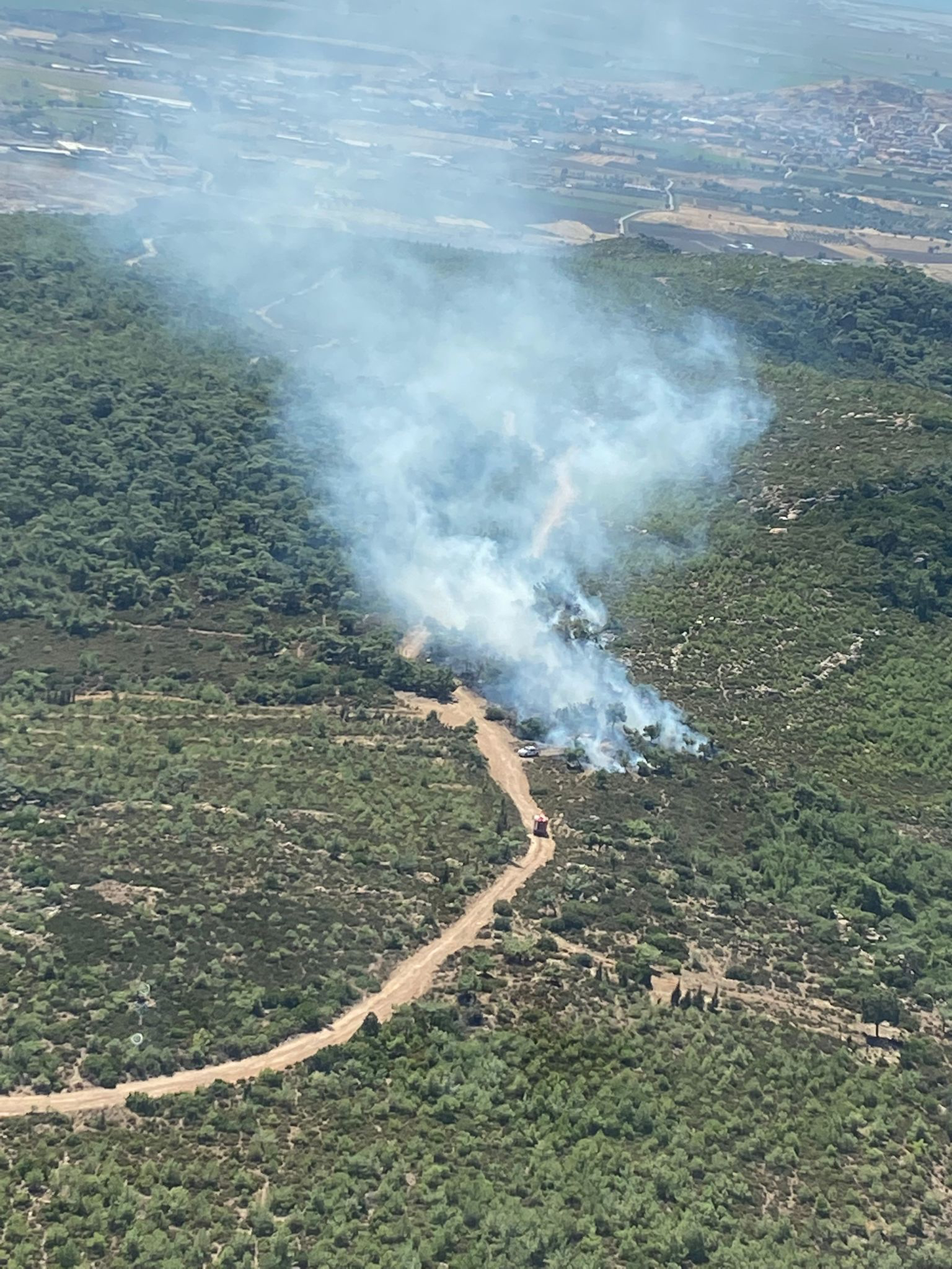 İzmir Foça’da orman yangını çıktı