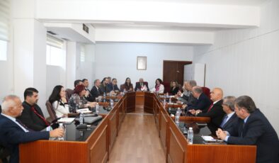 Yükseköğretim Kurumlarının Mali Denetim Sistemi ve YÖDAK ile ilgili Meclis Araştırma Komitesi toplandı